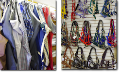 Blankets, Halters, Boots and Other Horse Clothing