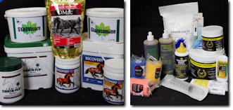 Equine Supplements